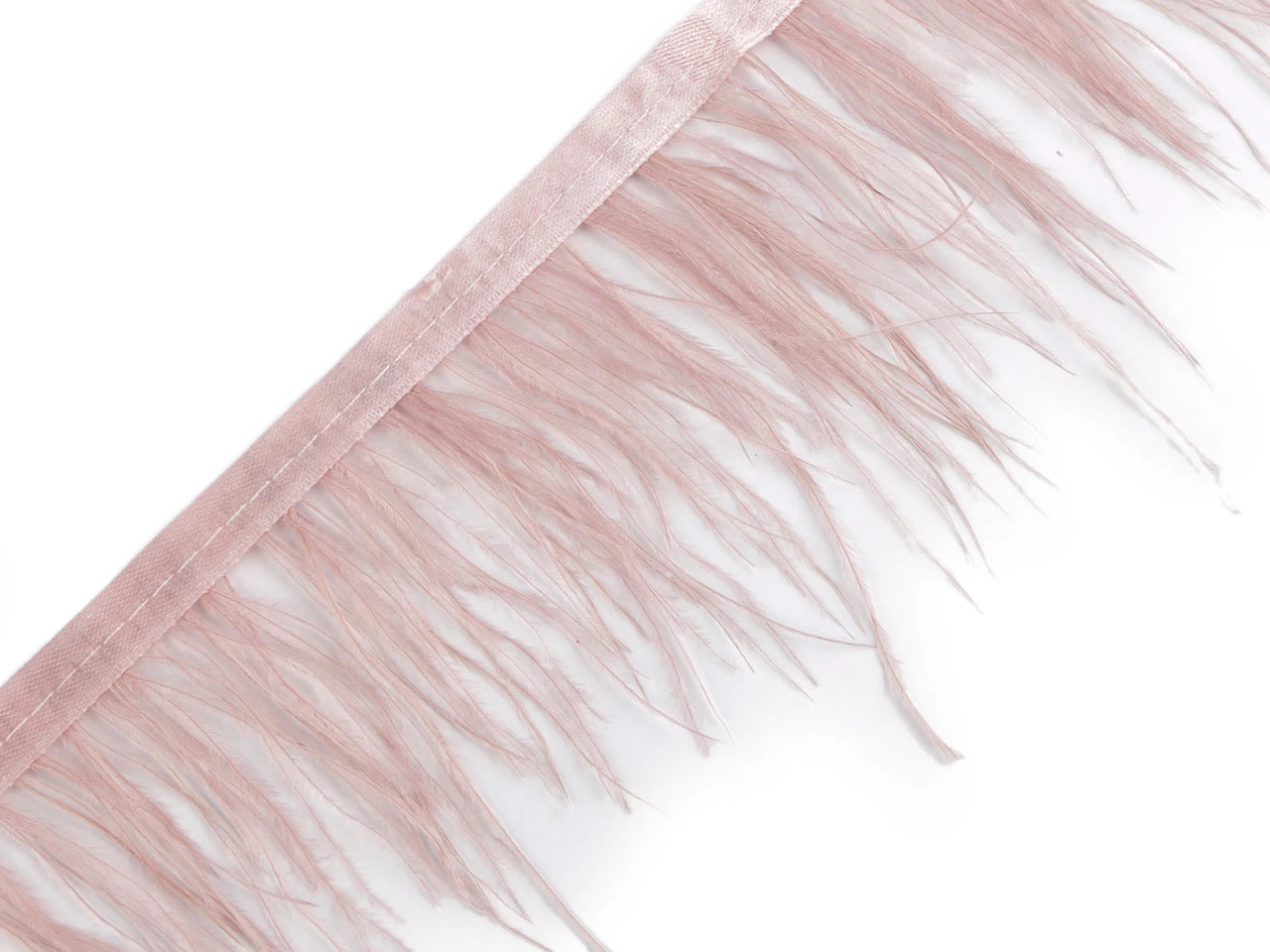 Ruban de finition à plumes de marabout, poudre légère (pack de 50 cm)