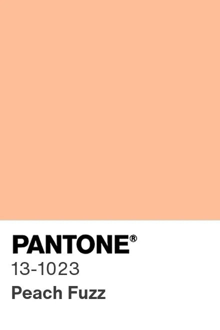 Farbe 2024 – Charlottes Stoffe