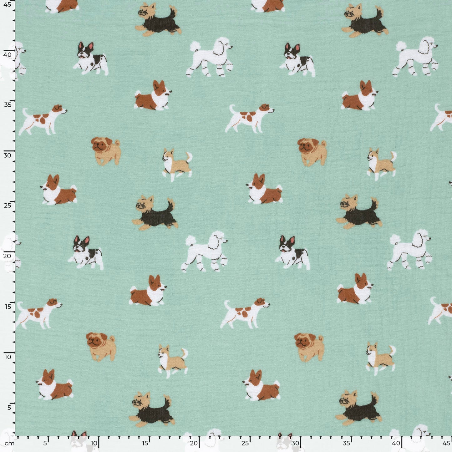 Muslin Dogs
