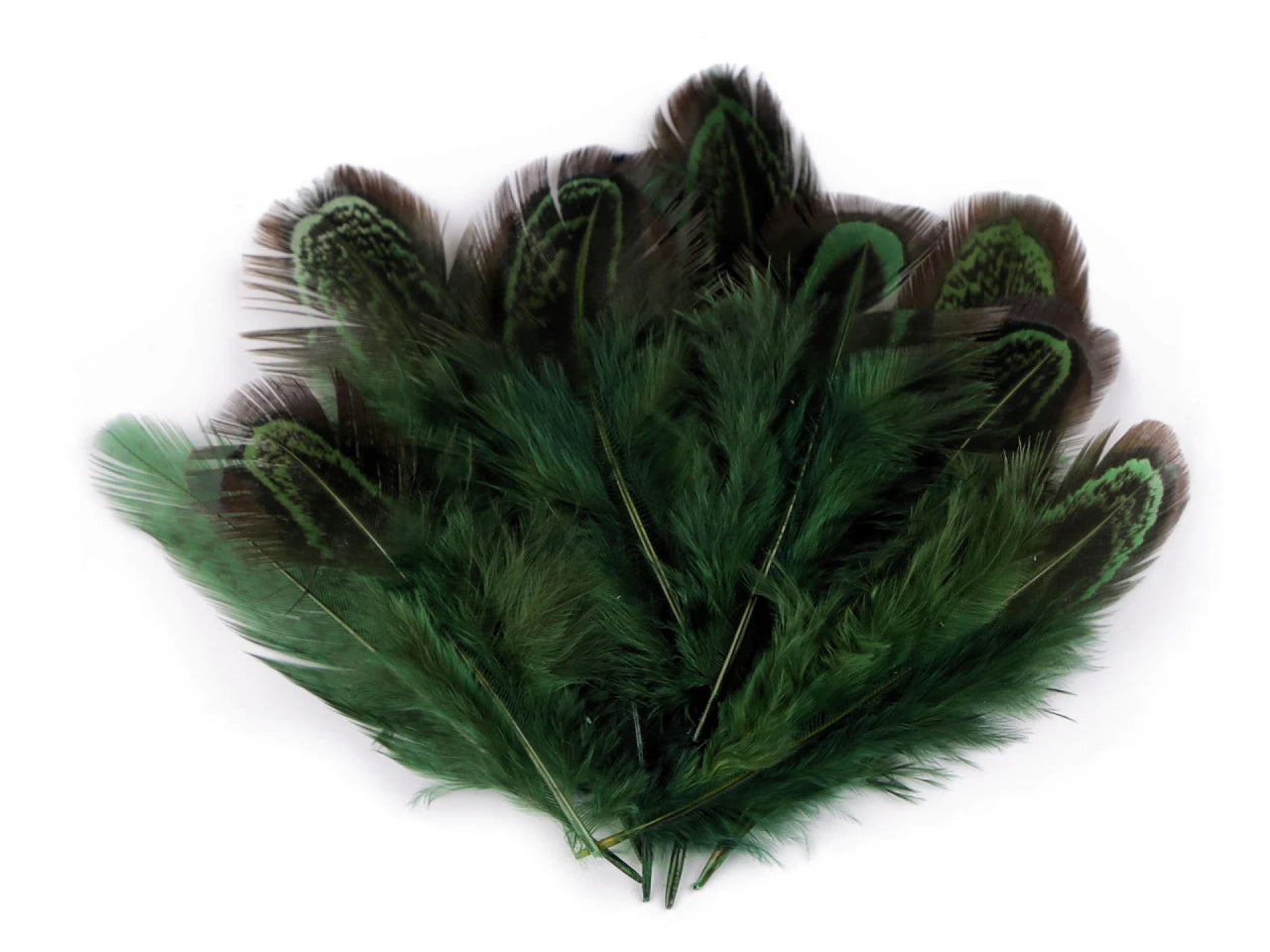 Plumes de faisan 5–7 cm – plumes naturelles décoratives | teintes assorties