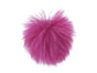 Fuksia