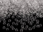 Transparente