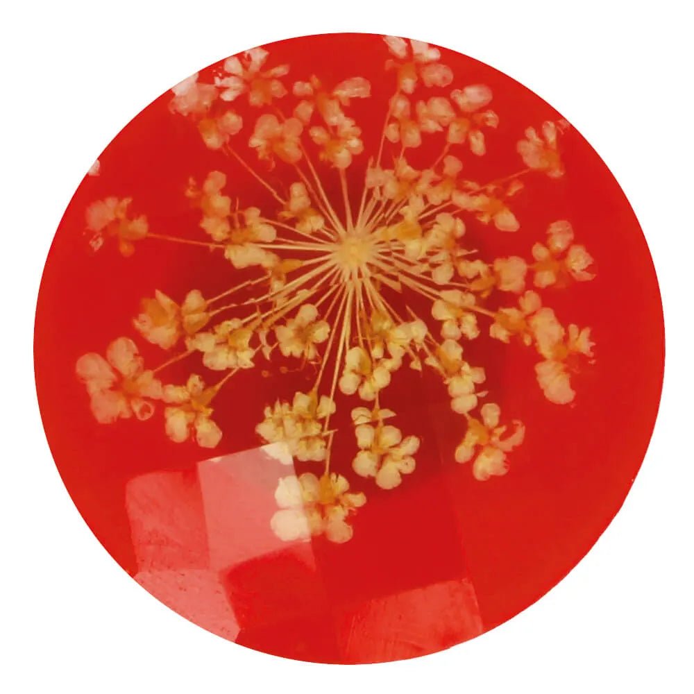 Decorative button with a real dried flower in resin, 25 mm, cream flower and red background – available online at Charlotte's Fabrics