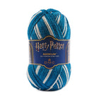 Korpinkynsi (Ravenclaw) – viisaus ja uteliaisuus.