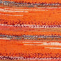 153 · Texmex-painatus