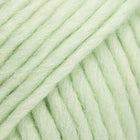 108 · pistachio ice cream solid color