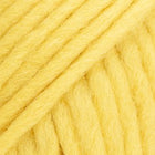 109 · dandelion solid color