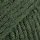 97 · dark ivy uni color