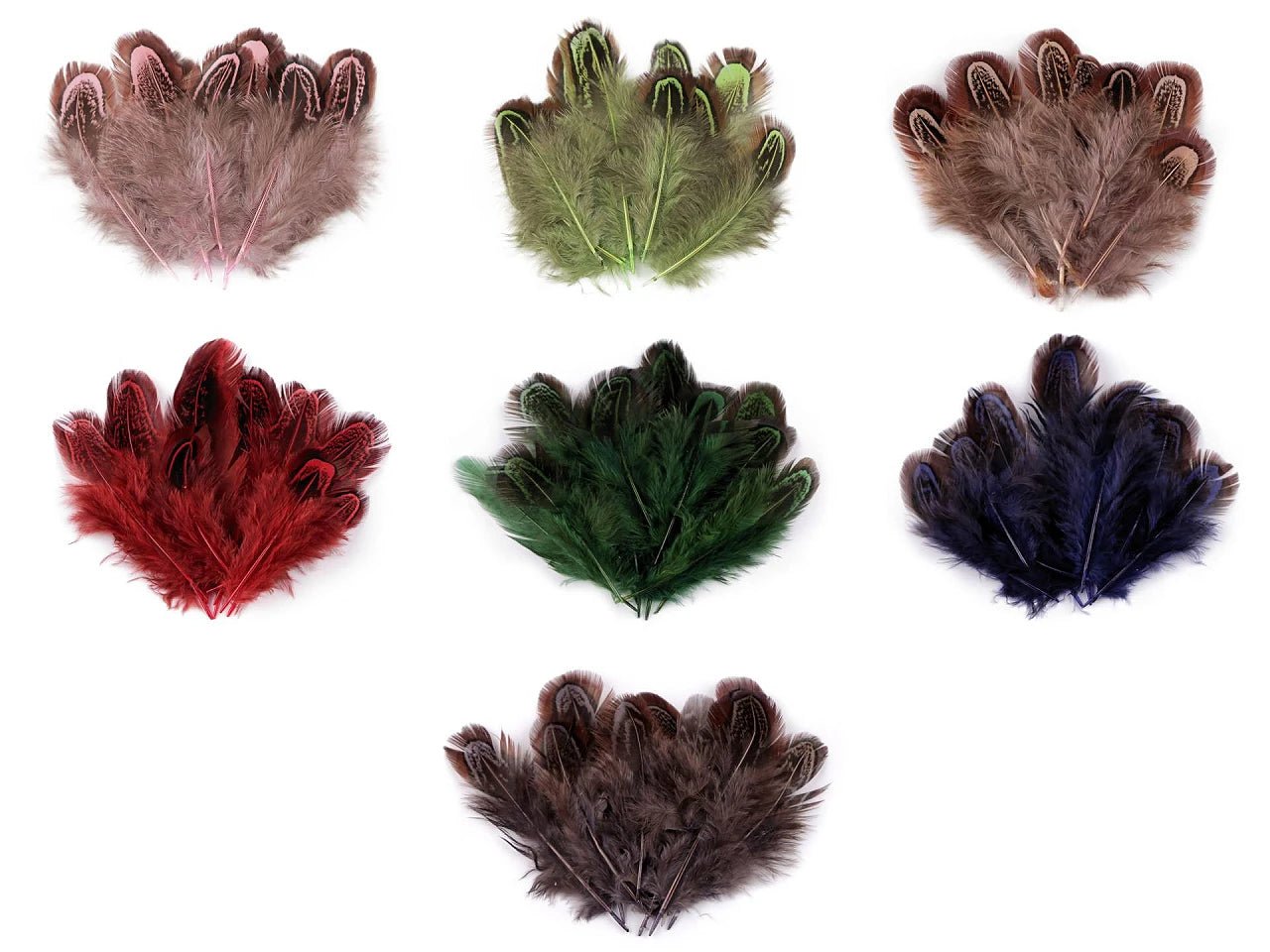 Plume de faisan 5–7 cm – plumes naturelles décoratives de différentes teintes, disponible chez Šarlotes audumi