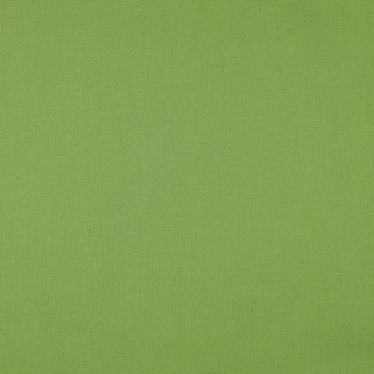 canvas fabric - green apple 225 g/m²