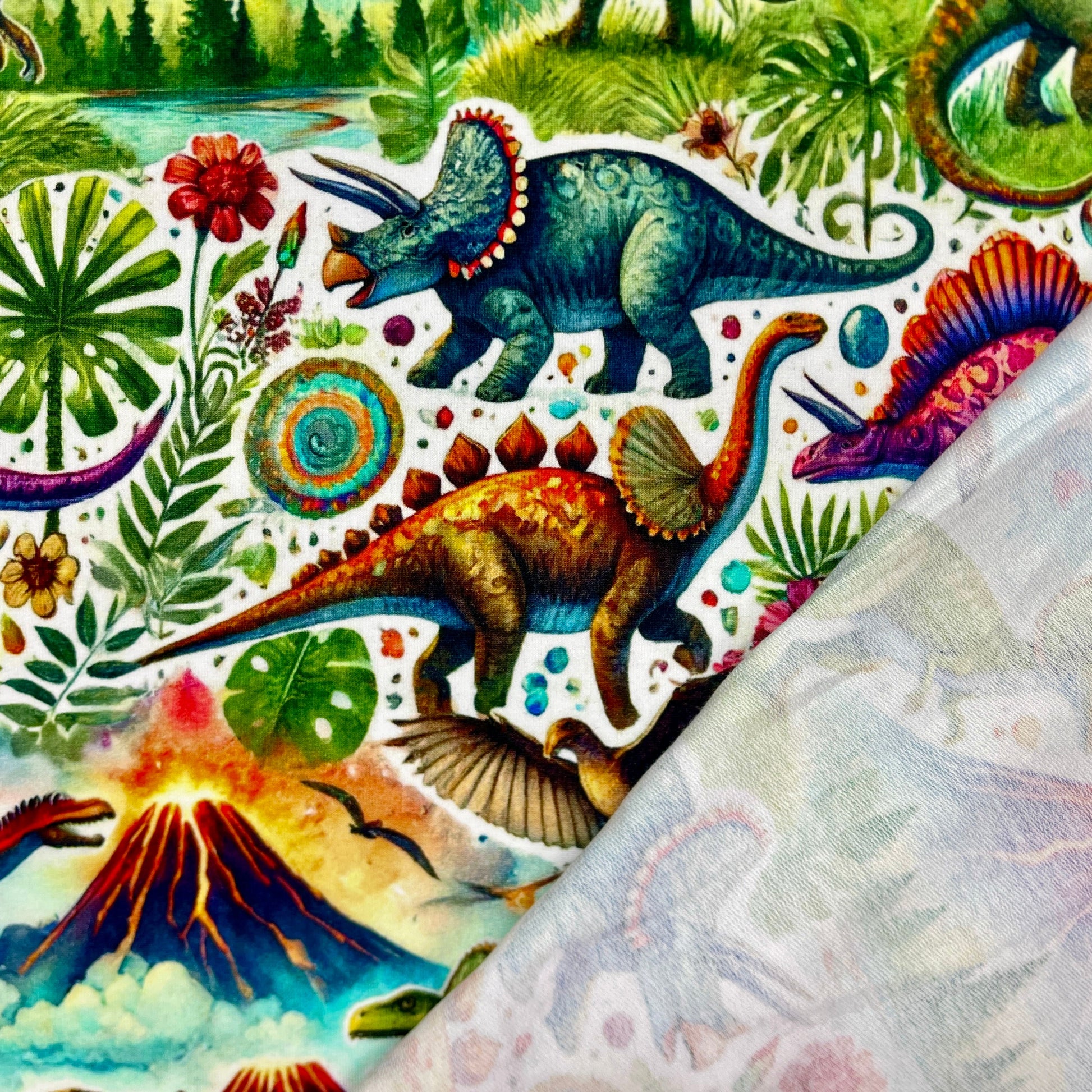 Molleton bouclette en coton - monde des dinosaures 260 g/m²
