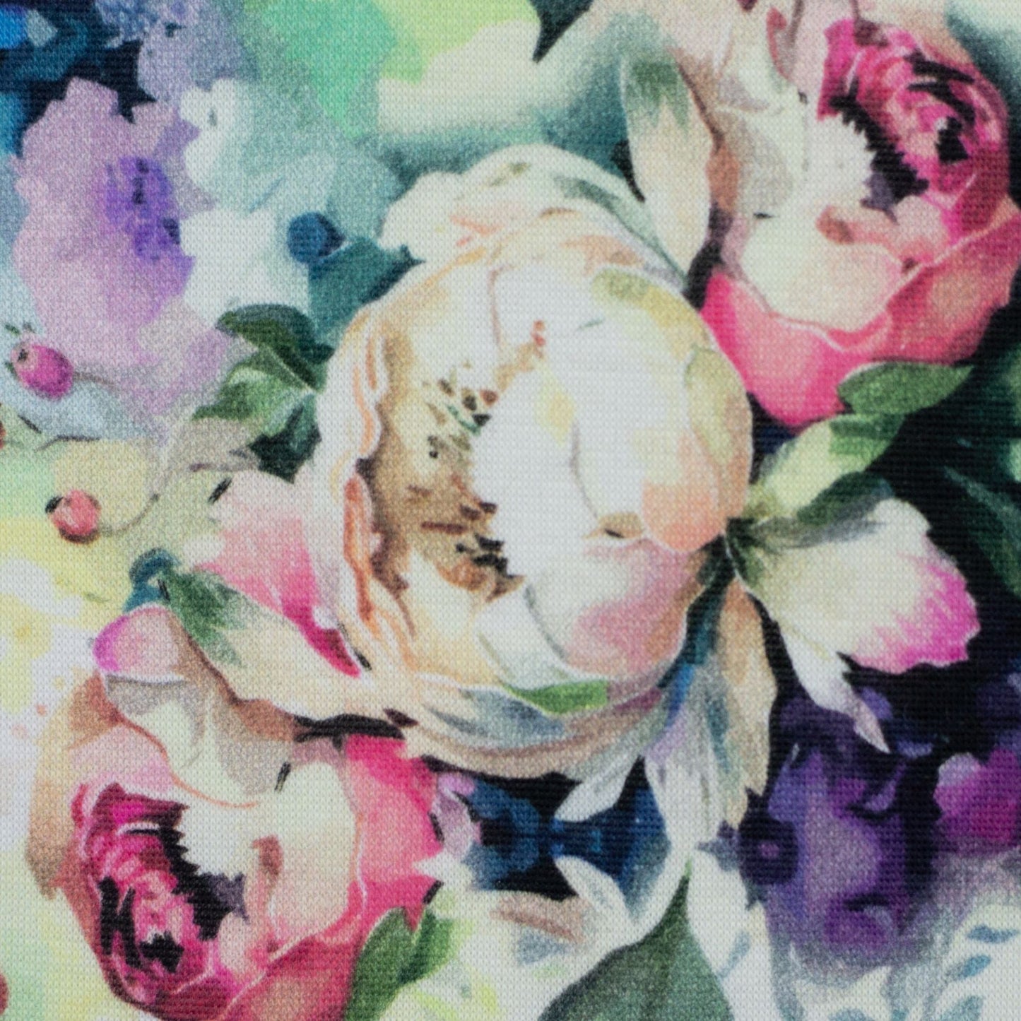Maille coton molletonnée|Alpen fleece| - pivoines 300 g/m²
