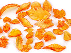 Oranssit