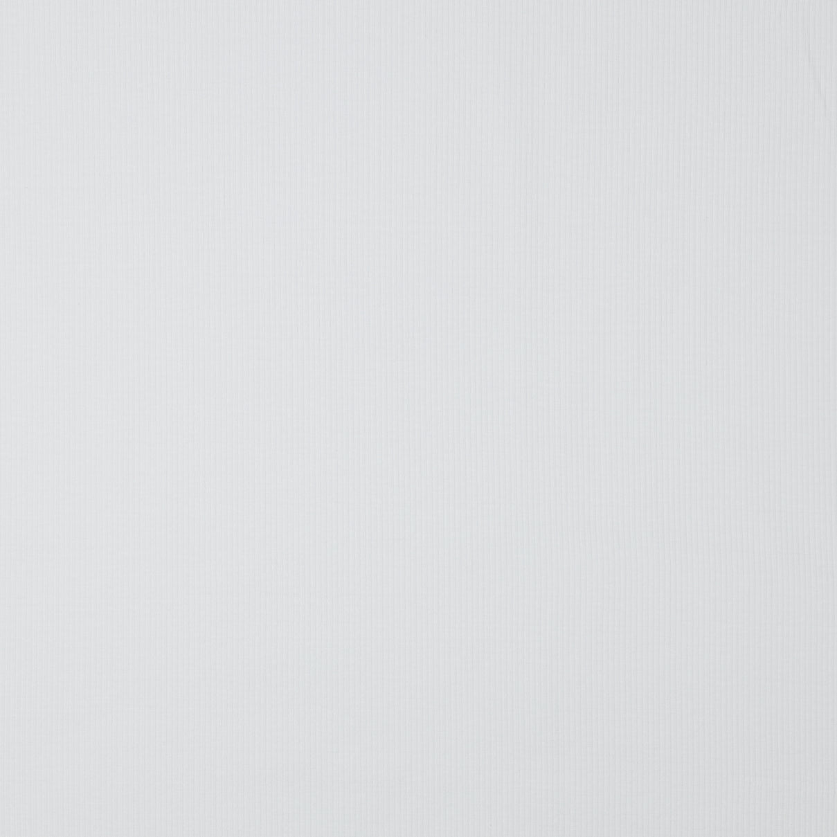 Jersey côtelé en coton (RIB JERSEY) - blanc 240 g/m²