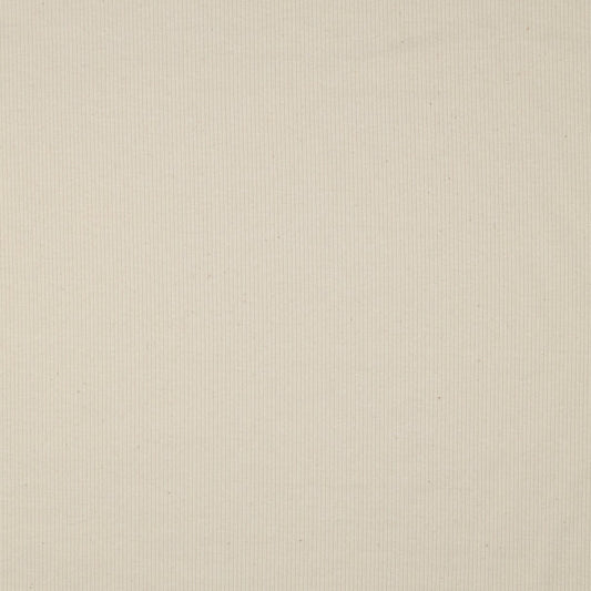 Ribbed cotton jersey (RIB JERSEY) - natural, unbleached 240 g/m²