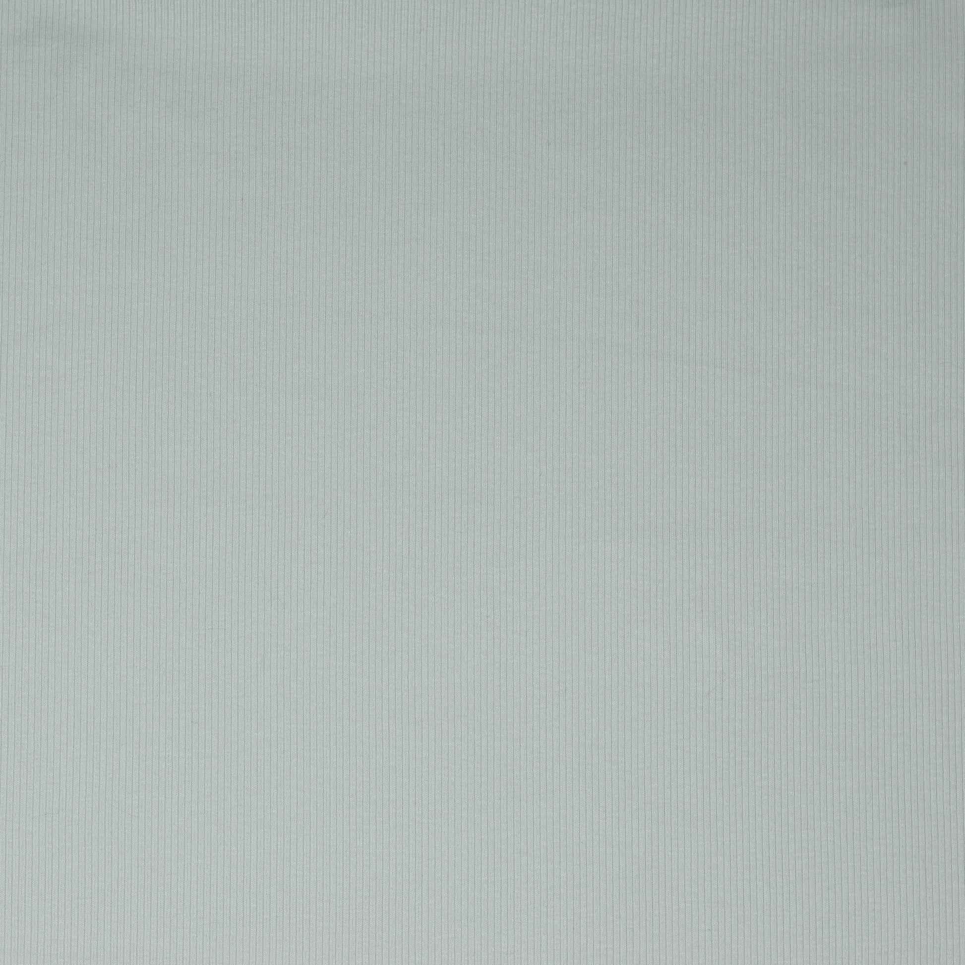 Jersey de coton côtelé (RIB JERSEY) - gris clair 240 g/m²