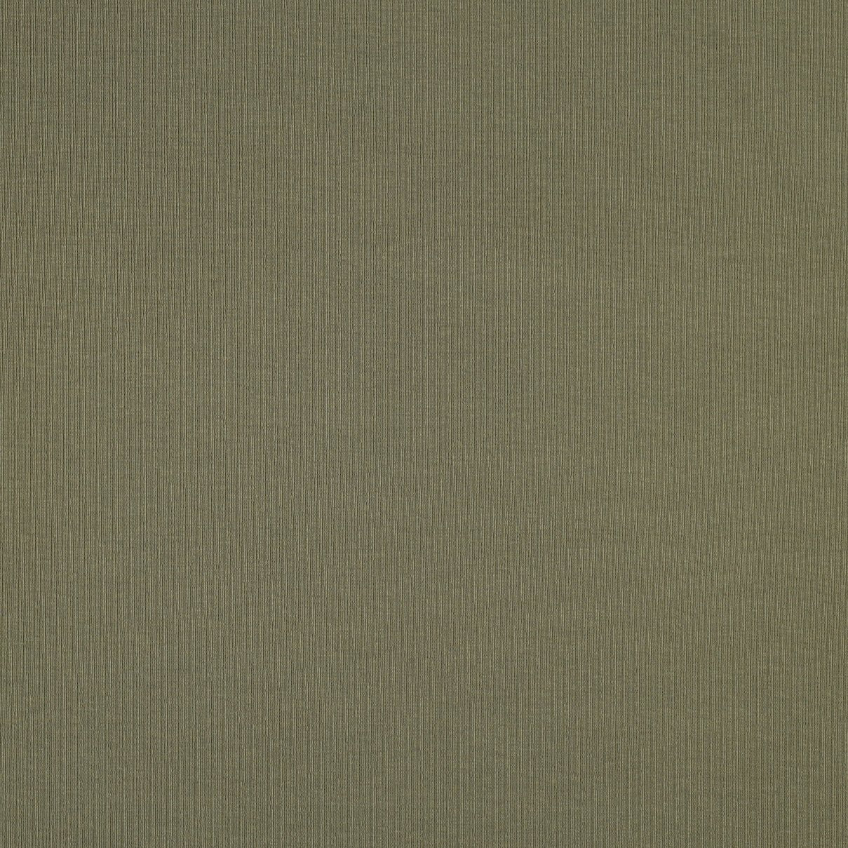 Jersey de coton côtelé (RIB JERSEY) - vert olive 240 g/m²