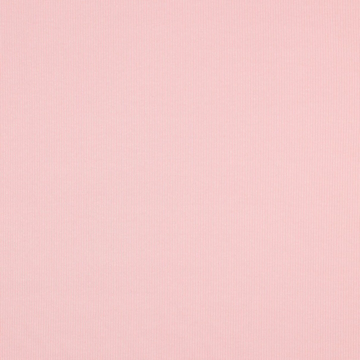 Jersey de coton côtelé (RIB JERSEY) - teinte rose 240 g/m²