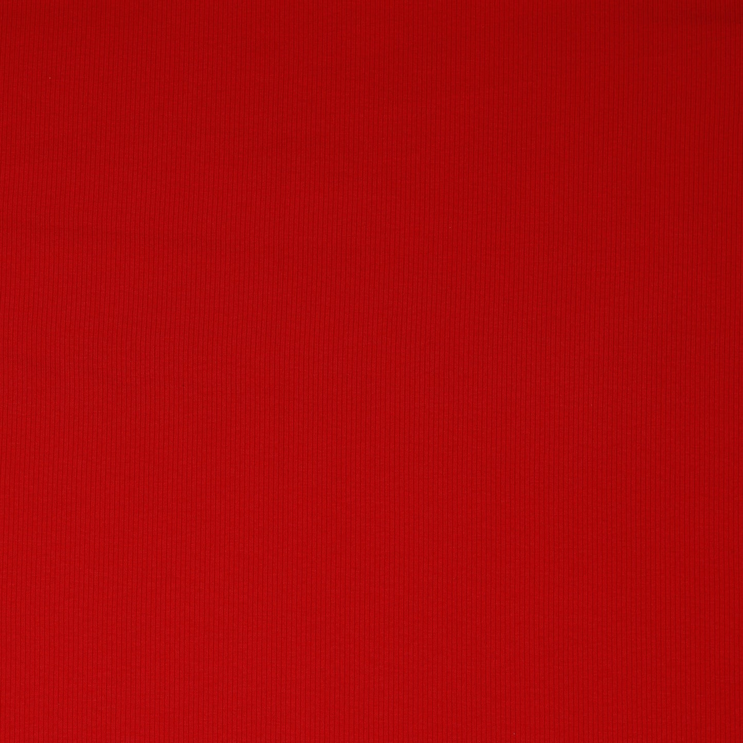 Jersey de coton côtelé (RIB JERSEY) - rouge 240 g/m²