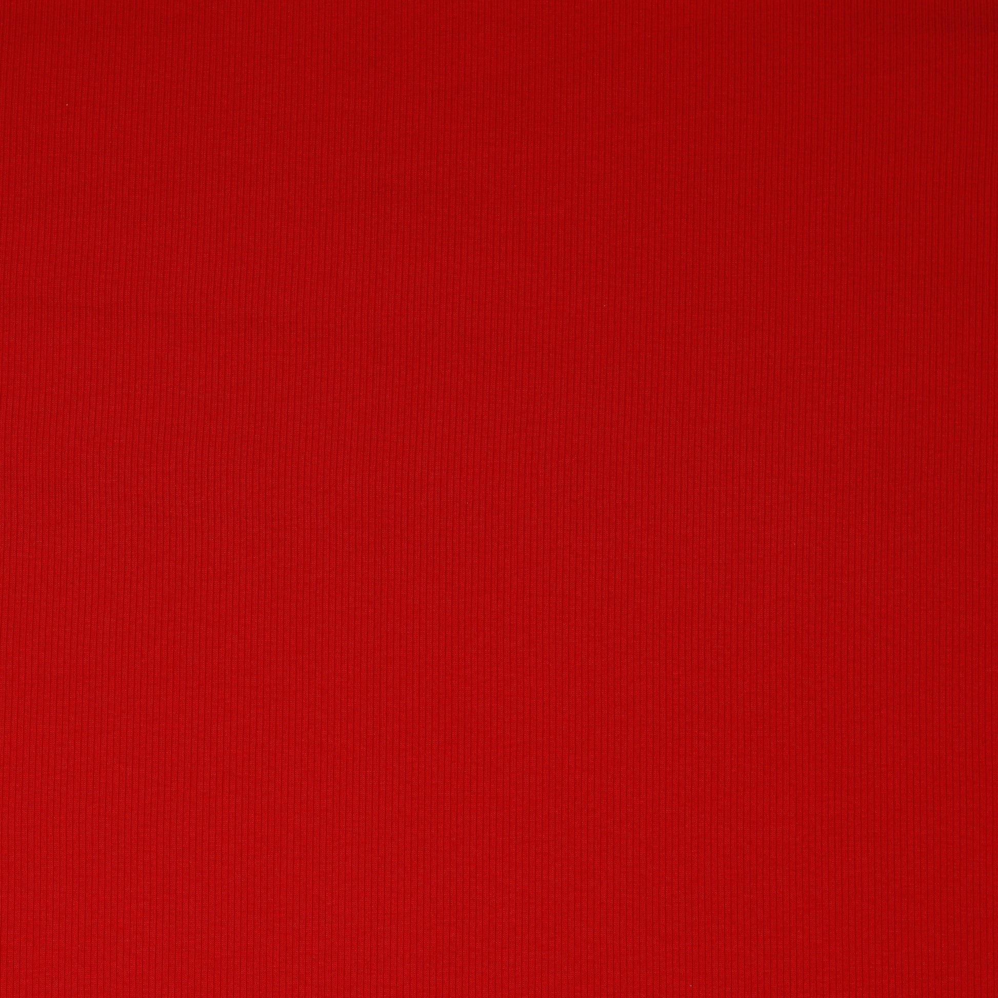 Jersey de coton côtelé (RIB JERSEY) - rouge 240 g/m²