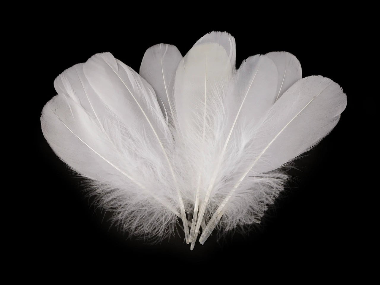 Plumes d'oie (14 - 18 cm) - blanches