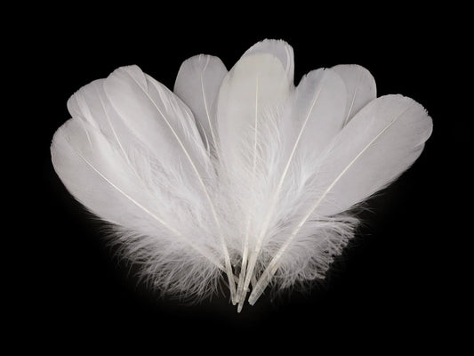 Spalvas zosu (14 - 18 cm) - baltas