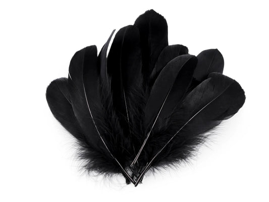 Spalvas zosu (14 - 18 cm) - melnas