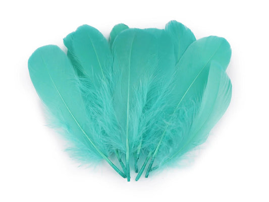 Spalvas zosu (14 - 18 cm) - tirkīza