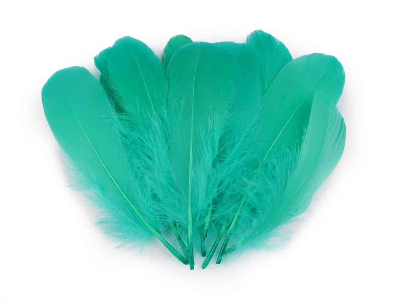Spalvas zosu (14 - 18 cm) - zaļgana