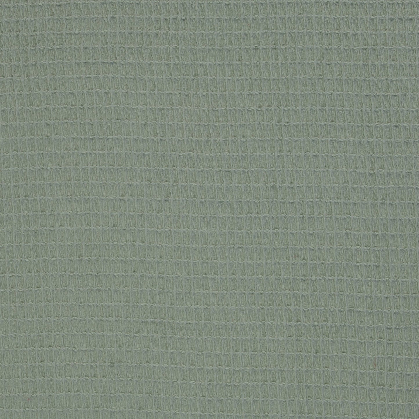 Image de tissu gaufré vert grisâtre 230 g/m², disponible chez Šarlotes audumi