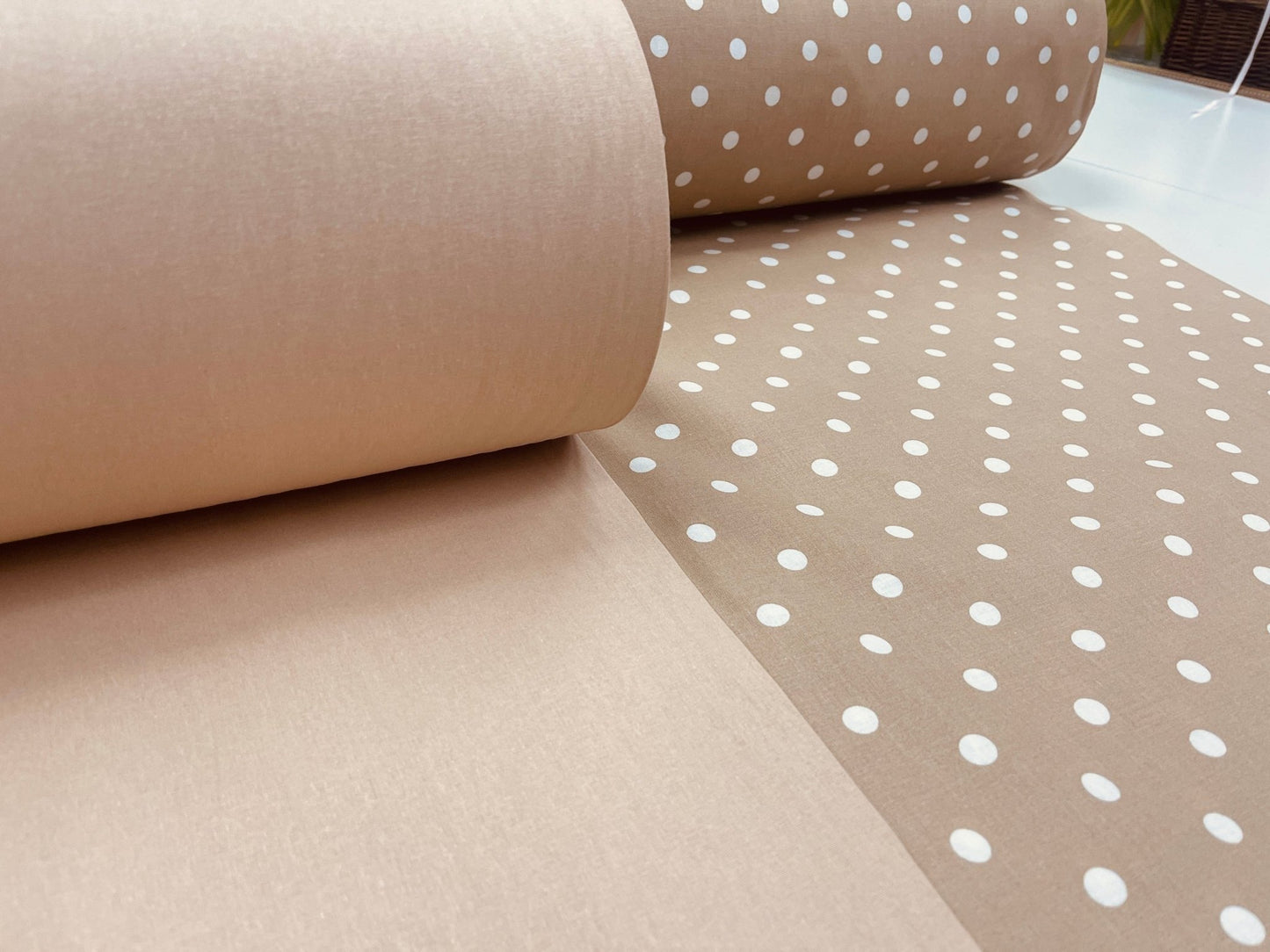 Tissu 100 % coton couleur café au lait (Latte) 220 cm 146 g/m²