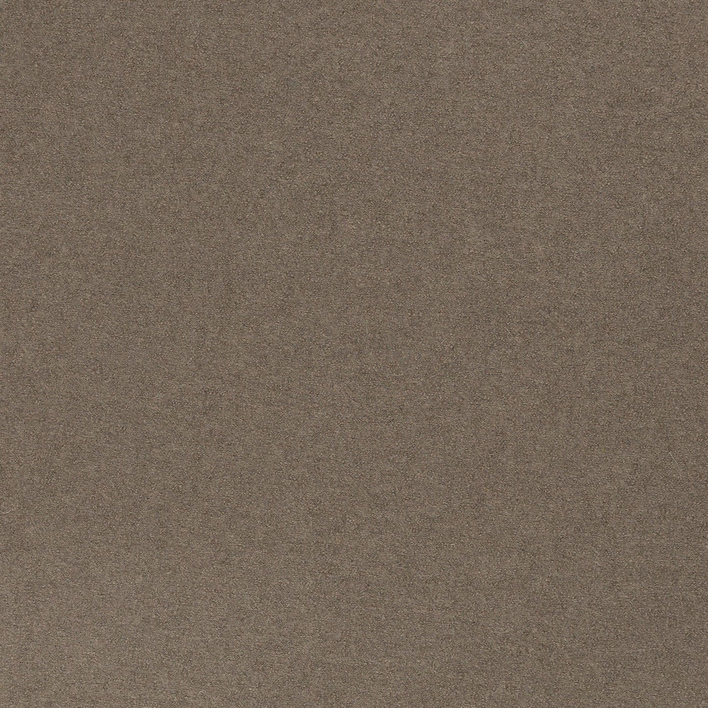 Tissu 100 % laine marron clair 385 g/m²