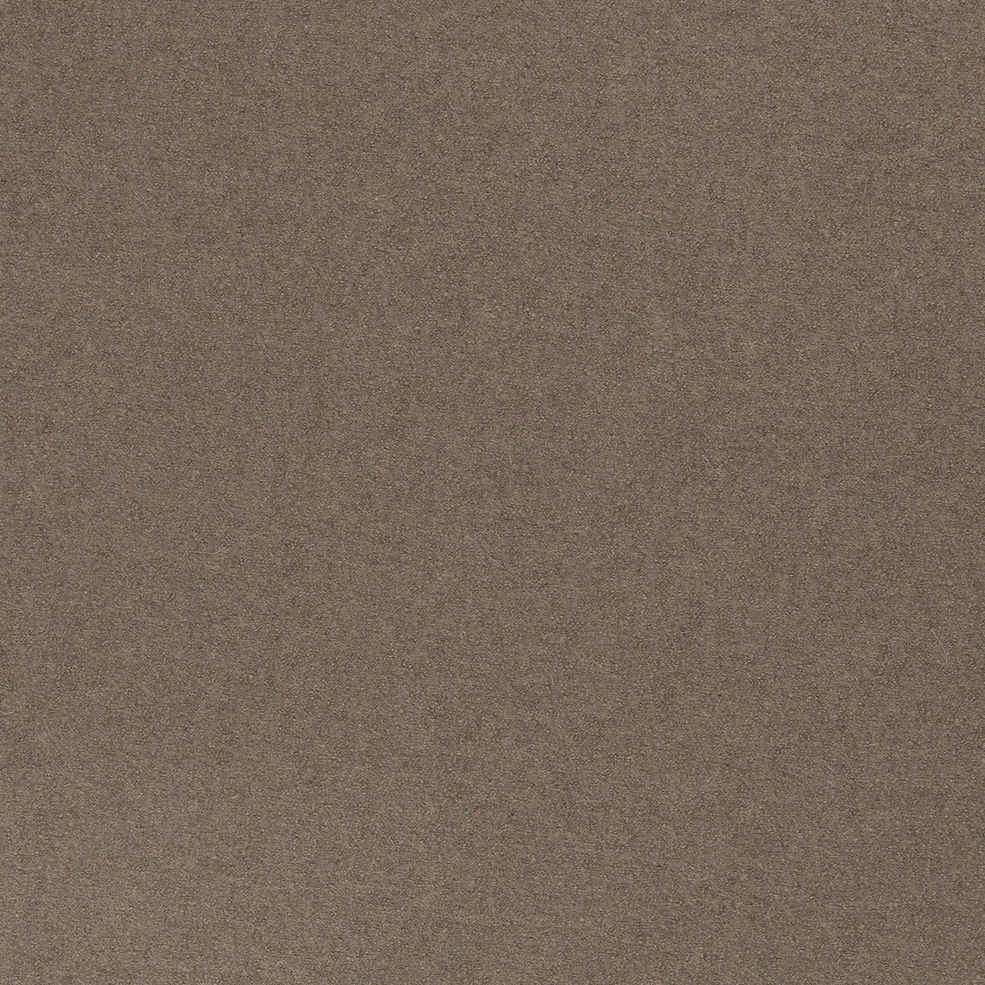 Tissu 100 % laine marron clair 385 g/m²
