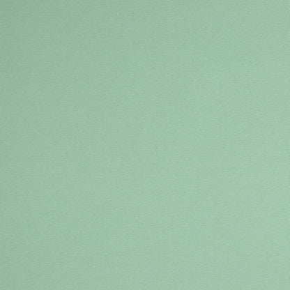 Cotton brushed knit - light green 285 g/m²