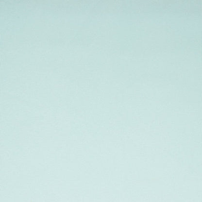 Jersey ouaté en coton bleu clair 285 g/m²