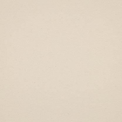 Dünner Baumwolljersey, ungebleicht, naturfarben, 215 g/m²